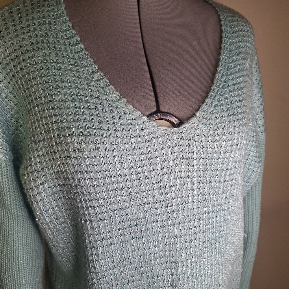 Ellen Tracy V-Neck Sweater in Costal Mist Color W/ Tiny Sequins Size Large